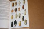 Boek. Elseviers schelpengids., Ophalen of Verzenden, Fossiel