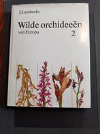 Wilde orchideeën van Europa deel 2, Boeken, Bloemen, Planten en Bomen, Ophalen of Verzenden, Zo goed als nieuw, J. Landwehr