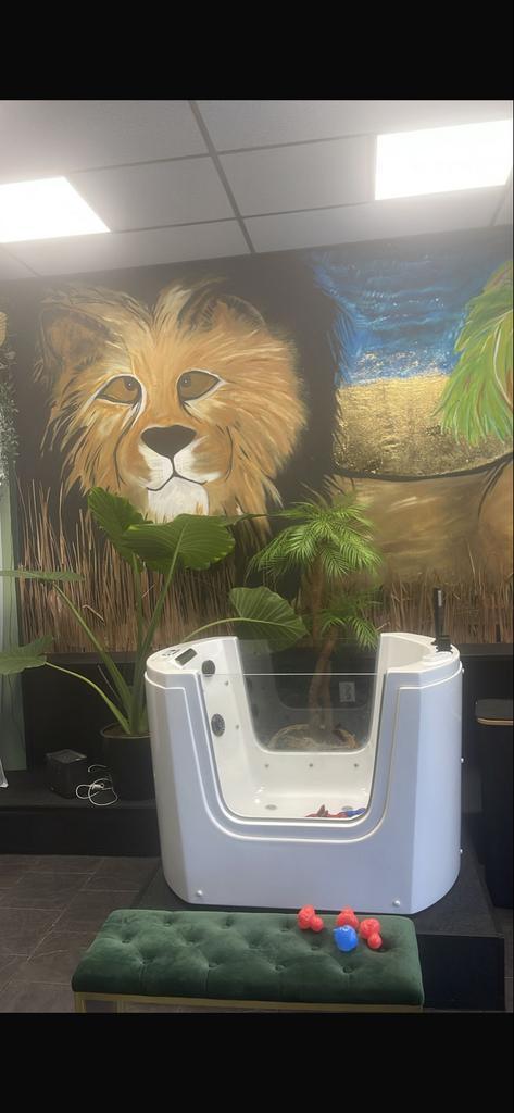 Babyspa - Luxe babybad met bubbels!, Kinderen en Baby's, Badjes en Verzorging, Zo goed als nieuw, Badje, Overige merken, Standaard