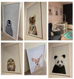 5x little animal by Amy Hamilton framed pictures., Antiek en Kunst, Ophalen