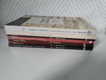 8 profeten uit het O.T.  Ds. J. Westerink beschikbaar voor biedingen