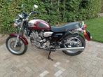 Triumph Thunderbird 900, Motoren, Particulier