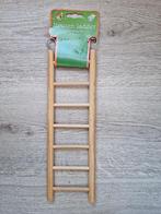 Parkiet Papegaai  ladder hout, Meerdere dieren, Parkiet