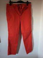 Lange broek. Ralph Lauren. Koraalrood. Maat 8 (maat 38)., Kleding | Dames, Ophalen of Verzenden, Zo goed als nieuw, Ralph Lauren