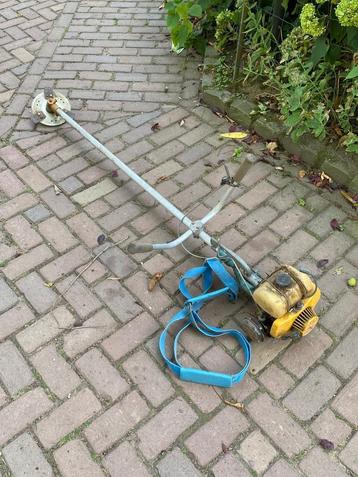 Bosmaaier beschikbaar voor biedingen