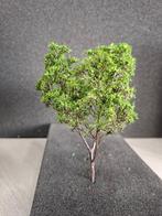 Boom groen 14cm hoog, Overige merken, Natuur, Gelijkstroom of Wisselstroom, Nieuw