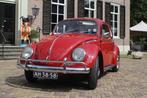 vw kever, Achterwielaandrijving, Zwart, 4 cilinders, Handgeschakeld
