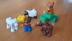 DUPLO 5646 Ville Dierenverzorging - Complete Set, Ophalen of Verzenden, Zo goed als nieuw, Complete set, Duplo