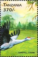 1999 Tanzania Fauna Watervogels - Zandplevier, Ophalen of Verzenden, Dier of Natuur, Postfris