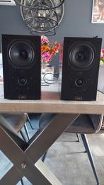 Chario syntar 100 luidsrekers, Overige merken, Ophalen of Verzenden, Zo goed als nieuw, 60 tot 120 watt