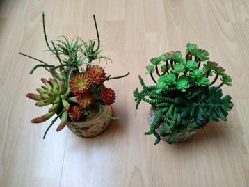 Z.g.a.n. 2 kunstplantjes in boomschors beschikbaar voor biedingen