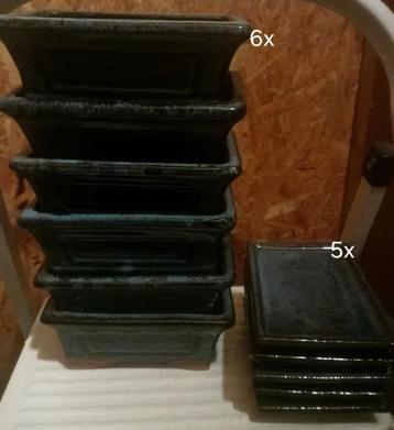 Bonsai pot beschikbaar voor biedingen