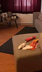 Groot grijs tapijt - zie beschrijving, Huis en Inrichting, Stoffering | Tapijten en Kleden, Ophalen of Verzenden