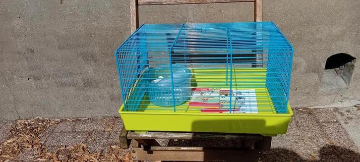 Hamsterkooi, Dieren en Toebehoren, Knaagdieren en Konijnen | Hokken en Kooien, Nieuw, Kooi, Minder dan 60 cm, Minder dan 75 cm