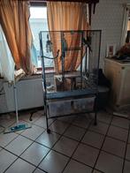 Mooie kooi met 3 vogels, Dieren en Toebehoren, Vogels | Hokken en Kooien, Ophalen of Verzenden, Hout, Vogelkooi