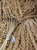 Trosgierst geel 1kg, Verzenden, Nieuw, Eten en Drinken