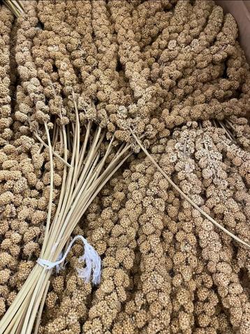 Trosgierst geel 1kg  beschikbaar voor biedingen