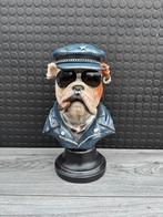 hond buste 36hoog 24breed/Nieuw!, Verzamelen, Beelden en Beeldjes, Ophalen of Verzenden, Nieuw, Dier