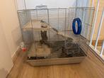 Hamster hok met toebehoren en reismand, Dieren en Toebehoren, Minder dan 75 cm, Ophalen, Minder dan 60 cm, Hok