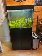 Juwel 120 Aquarium, Ophalen, Nieuw, Leeg aquarium