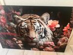 Canvas tijger whow xl afhaal €15,-, Ophalen, Nieuw