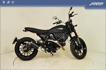 ducati scrambler icon (bj 2024)  beschikbaar voor biedingen