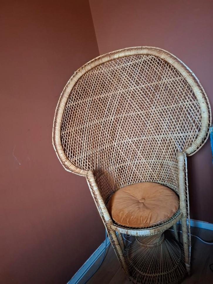 Klassieke Pauwenstoel - Eyecatcher!, Huis en Inrichting, Stoelen, Ophalen
