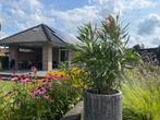 Orangerie Rue de la Chapelle B&B guesthouse, Vakantie, Bed & Breakfasts en Pensions, Eigenaar, Tuin, Landelijk