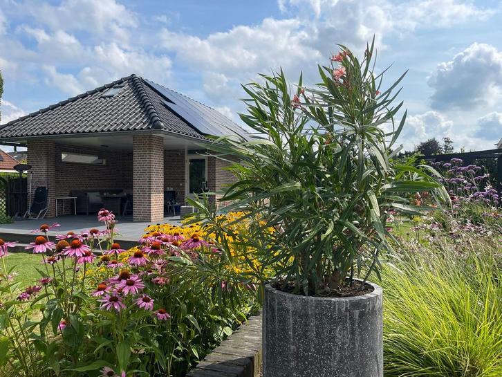 Orangerie Rue de la Chapelle B&B guesthouse, Vakantie, Bed & Breakfasts en Pensions, Landelijk, Eigenaar, Tuin