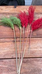 Gedroogde rode en groene pluimen, leuk voor in een vaas, Ophalen of Verzenden, Gebruikt