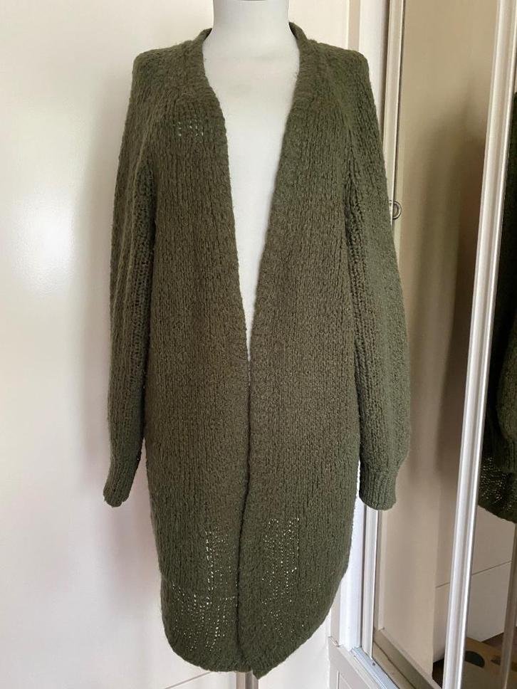 vest Paprika L groen, Kleding | Dames, Truien en Vesten, Zo goed als nieuw, Maat 46/48 (XL) of groter, Groen, Ophalen of Verzenden