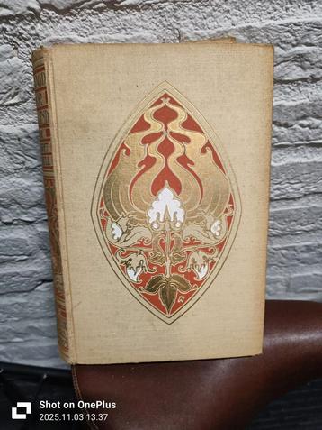 Vuur over Land - Roman beschikbaar voor biedingen