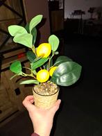 Kunstplant citroen, Huis en Inrichting, Kamerplanten, Ophalen, Halfschaduw, Minder dan 100 cm