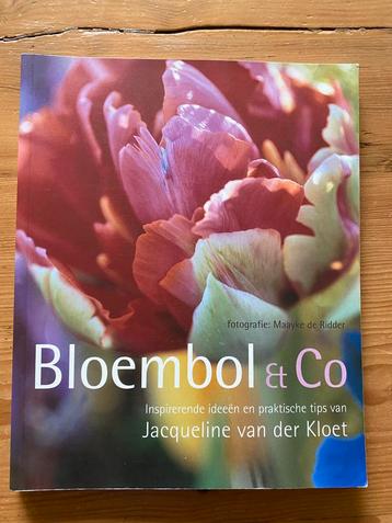 Bloembol & Co - Jacqueline van der Kloet beschikbaar voor biedingen