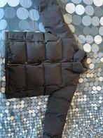 In Gold We Trust Puffer Winterjas | Zwart | Maat: S, Kleding | Heren, Ophalen, Zwart, Zo goed als nieuw, In Gold We Trust