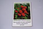 Avocado tot Zoete Aardappel — Zelf telen — 1990, Ophalen of Verzenden, Gelezen, Interieur en Design