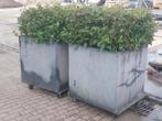 plantenbak met beplanting 75x75, Ophalen, Gebruikt