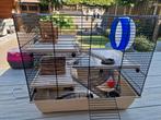 Hamsterkooi, met diverse toebehoren en accessoires, Dieren en Toebehoren, Kooi, Gebruikt, Minder dan 75 cm, Hamster