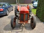 ferguson tef 20, Ophalen, Oldtimer, Tot 80 Pk, Massey Ferguson