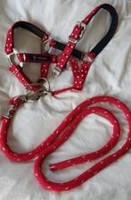 Halster kleine pony, Dieren en Toebehoren, Paarden en Pony's | Hoofdstellen en Tuigage, Ophalen of Verzenden, Gebruikt, Overige soorten