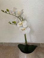 "Phalaenopsis Orchidee" 'Kunstplant' Nieuw, Ophalen of Verzenden, Halfschaduw, Minder dan 100 cm