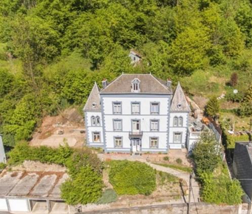 Kasteeltje in Belgische Ardennen voor een prikje, Huizen en Kamers, Huizen te koop, 1500 m² of meer, Vrijstaande woning