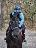 Gezocht buitenrit, Dieren en Toebehoren, Ophalen of Verzenden, Nieuw