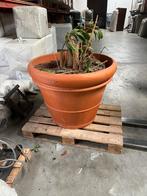 Grote bloempot, Ophalen of Verzenden, Zo goed als nieuw, Rond, 60 cm of meer