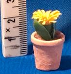 Poppenhuis plantenbak , planten bak, Verzamelen, Poppenhuizen en Toebehoren, Ophalen, Zo goed als nieuw, Poppenhuis