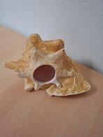 Grote schelp met uitsparing voor evt een fitting en lamp, Ophalen of Verzenden, Gebruikt