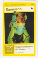 Super dieren no.89 Kameleon [2724]  [VeOvSu], Albert Heijn, Ophalen of Verzenden