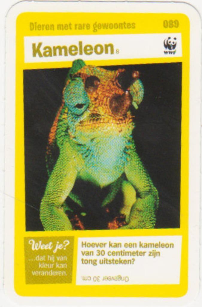 Super dieren no.89 Kameleon [2724]  [VeOvSu], Verzamelen, Supermarktacties, Albert Heijn, Ophalen of Verzenden