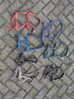 Veulen en pony halsters, Ophalen of Verzenden, Zo goed als nieuw, Overige soorten