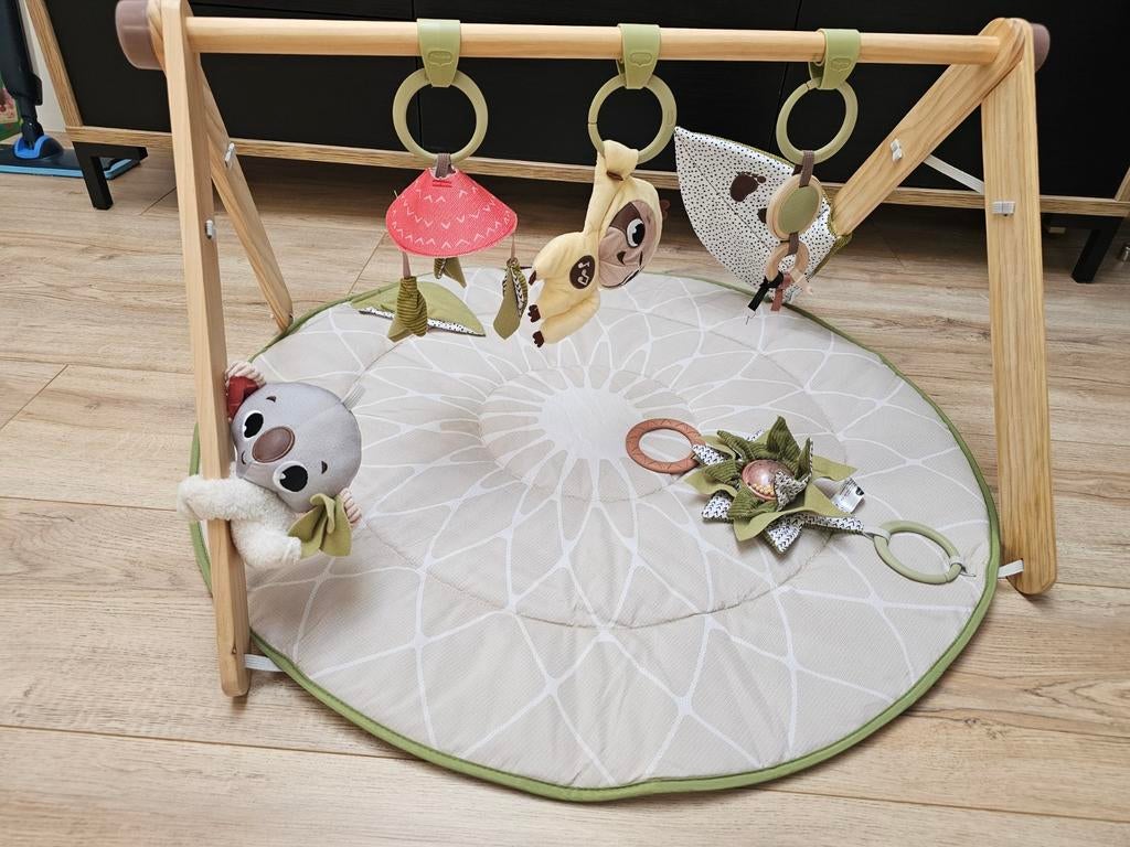 Baby Gym Tiny Love Boho Chic, Ophalen, Zo goed als nieuw, Minder dan 140 cm, Matras